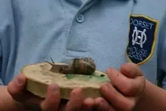 Snail...